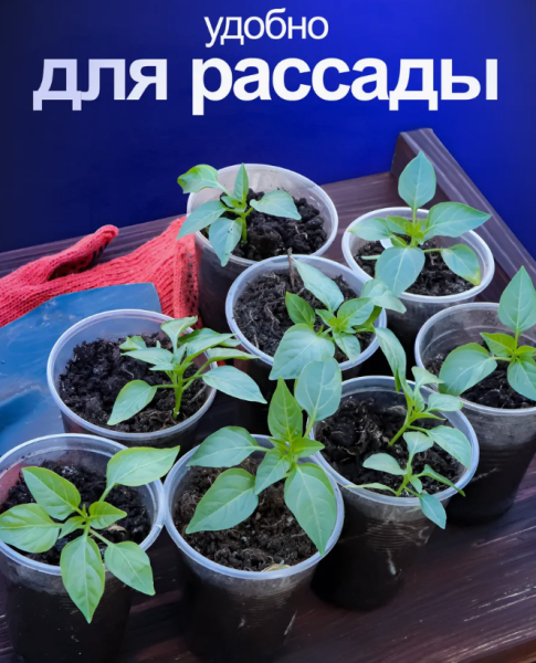 Стакан одноразовый 100 мл., 100 шт. ПЛОТНЫЙ пластиковый, прозрачный / Набор стаканчиков одноразовых